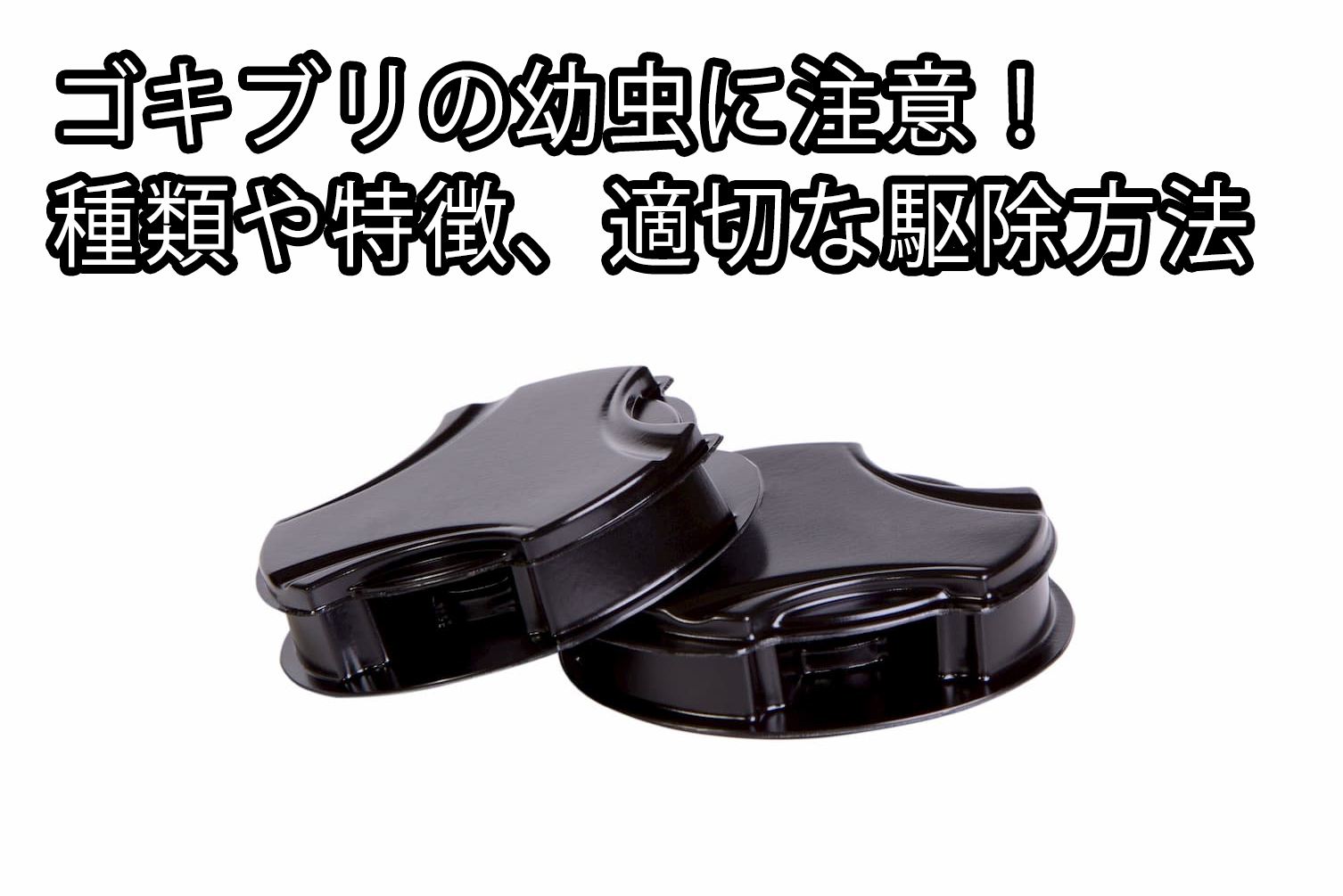 ペットに安心なゴキブリ駆除はある ペットがいても使えるゴキブリ駆除剤とは 株式会社ミナト 害獣 害虫駆除