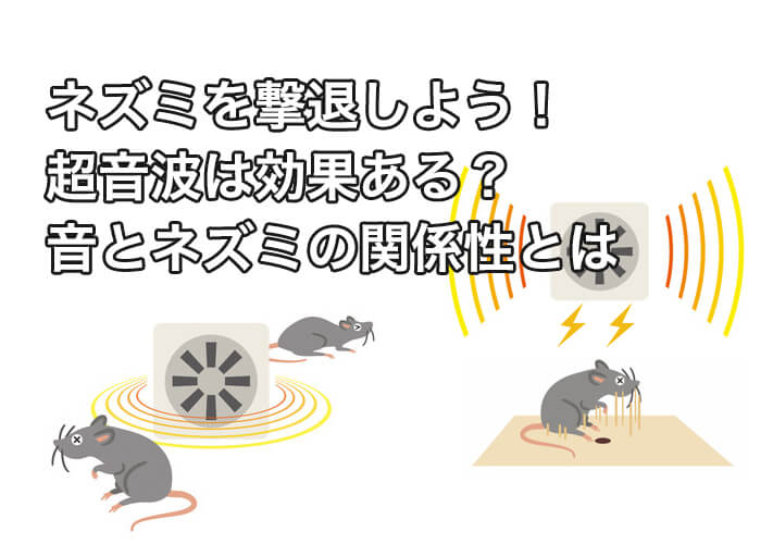 ネズミを撃退しよう 超音波は効果ある 音とネズミの関係性とは