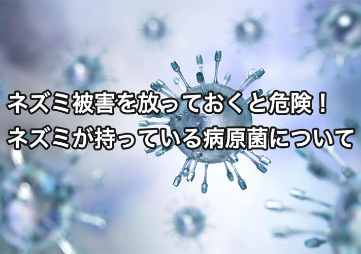 ネズミ被害を放っておくと危険 ネズミが持っている病原菌について 株式会社ミナト 害獣 害虫駆除