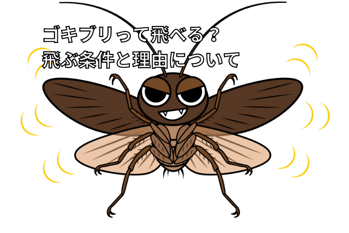 ゴキブリが飛んでいるイラスト画