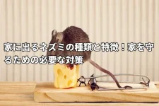 チーズに乗っているネズミ