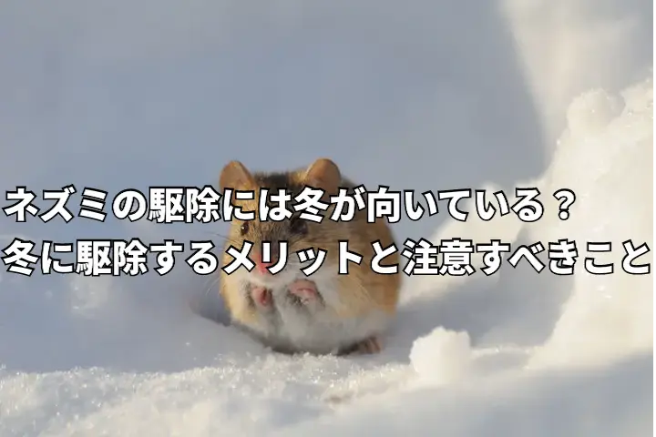 雪の中にネズミ