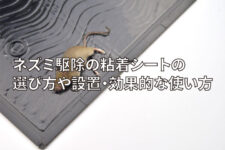 ネズミは寒い時期でも活動する 秋冬こそネズミ被害が多くなる理由 株式会社ミナト 害獣 害虫駆除