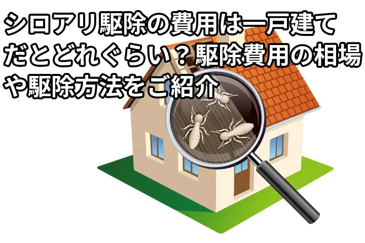 ルーペで家にいるシロアリを覗いているイラスト