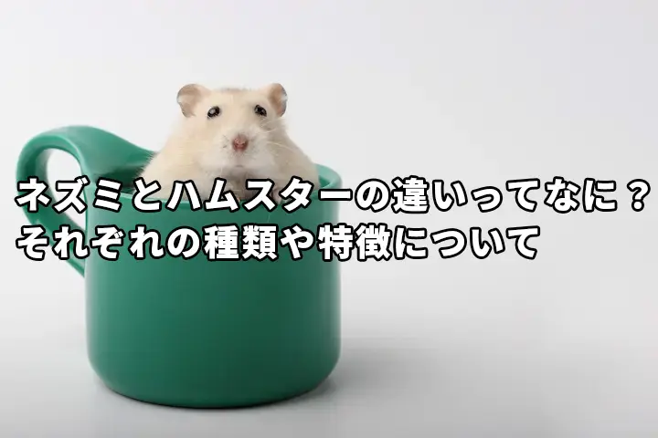 コップに入っているハムスター