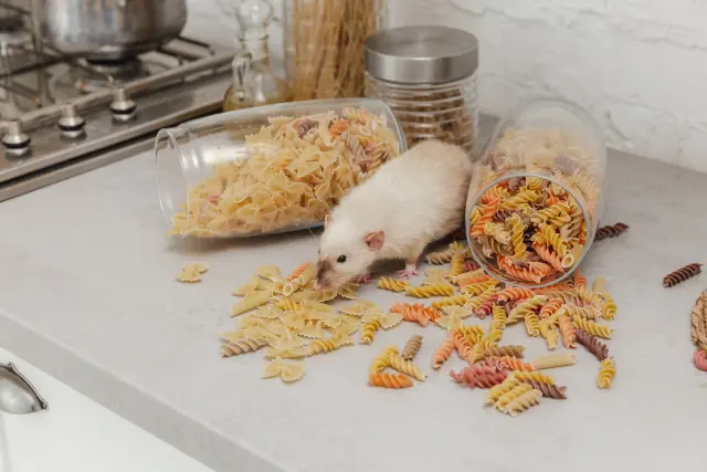 ハツカネズミが瓶に入った食材を荒らす風景