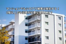 アパートの外観
