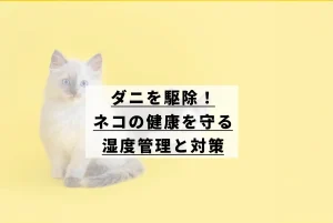 イエローバックに猫