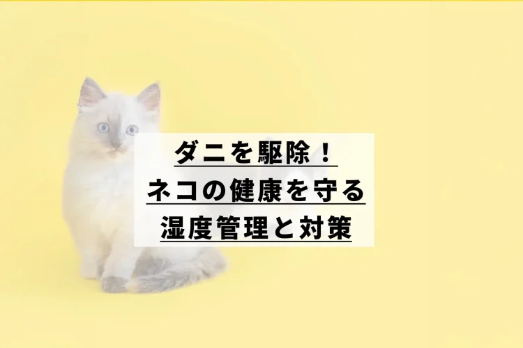 イエローバックに猫