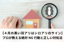 住宅と虫眼鏡の中にシロアリのイラスト