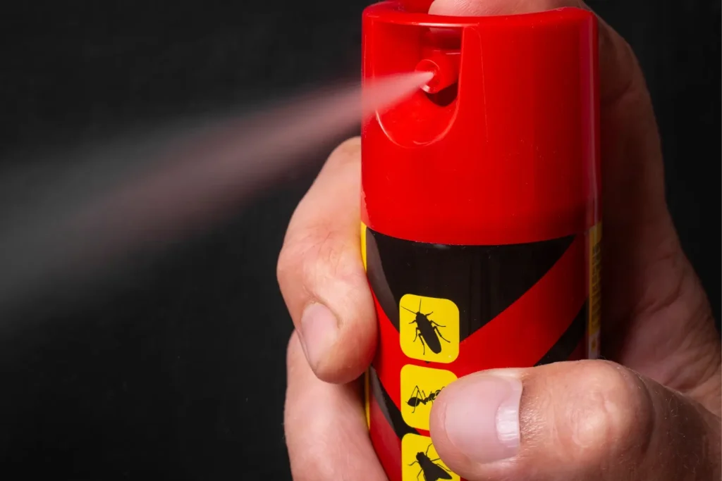 駆除スプレーを噴射する様子