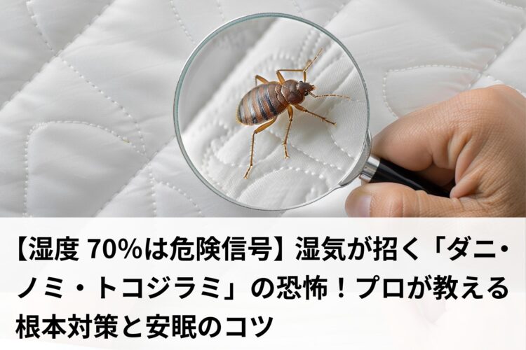 虫眼鏡で拡大したダニ