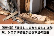 シロアリに侵食された柱