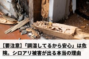 シロアリに侵食された柱