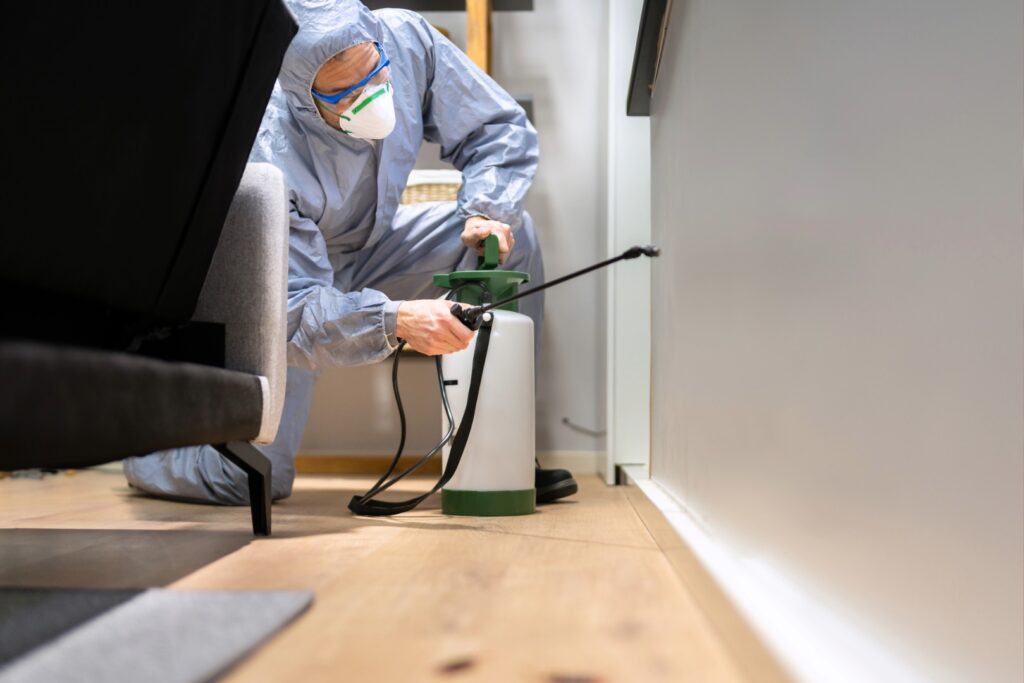壁に薬剤を噴射する作業服を着た男性