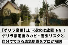 浸水した住宅地を歩く男性
