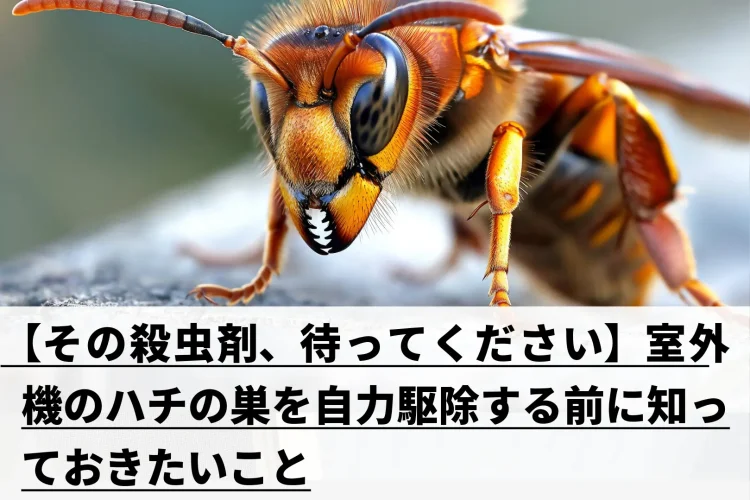 スズメバチ