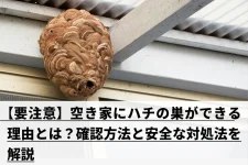 軒下の蜂の巣