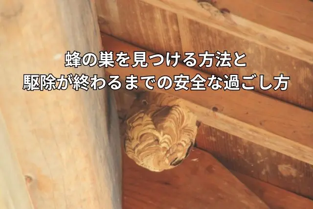 軒下にできたスズメバチの巣